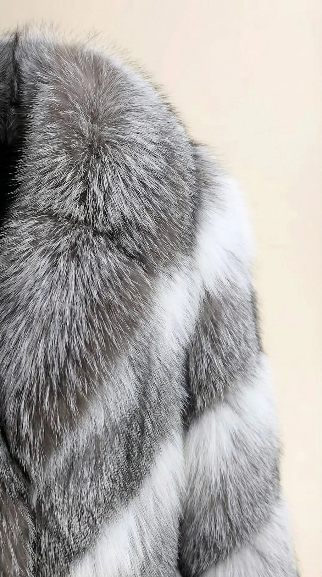 gamazzini-102_2 IMAGE