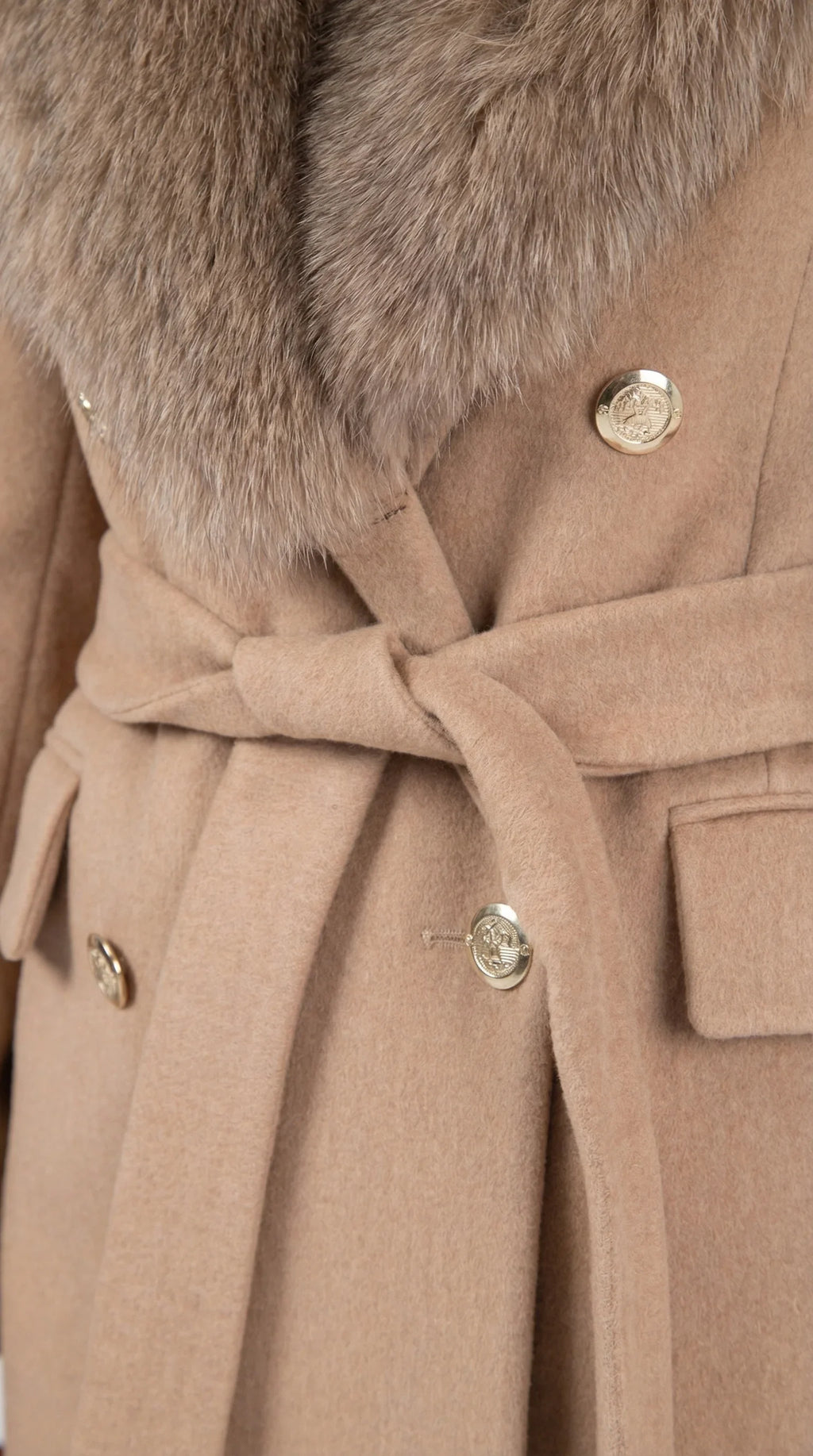 gamazzini-19_2 IMAGE