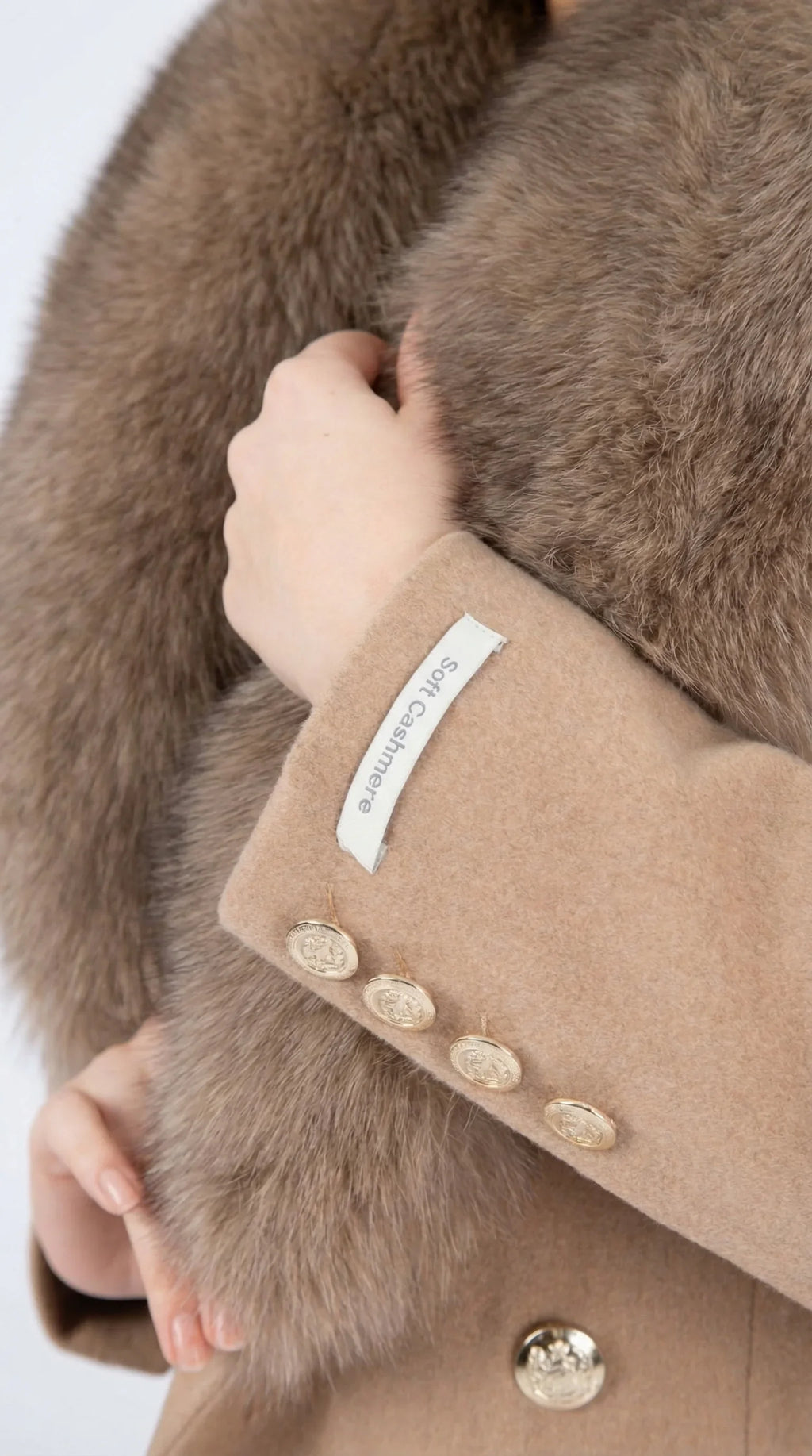 gamazzini-19_6 IMAGE