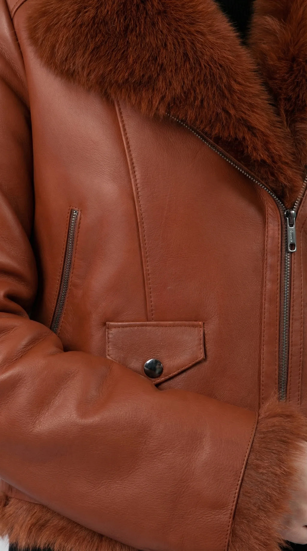 gamazzini-23_5 IMAGE