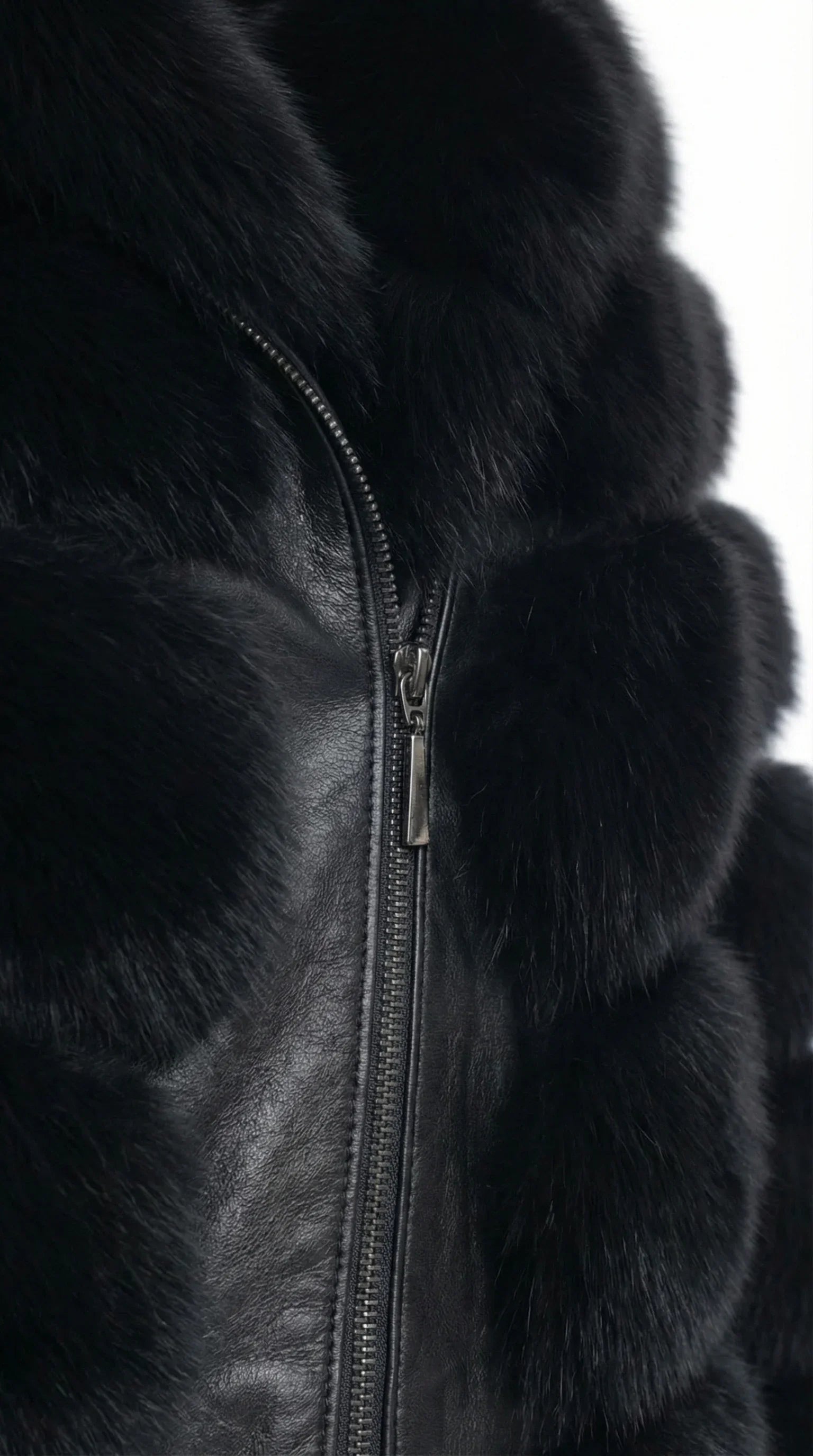 gamazzini-26_6 IMAGE