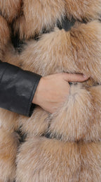 gamazzini-68_5 IMAGE