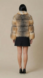 gamazzini-92_4 IMAGE